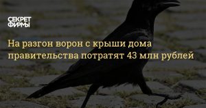 Для разгона птиц на Доме правительства РФ выделено 42,6 млн рублей