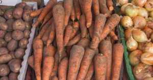 Картофель и морковь подорожали за последний год на треть. Выяснены причины подорожания
