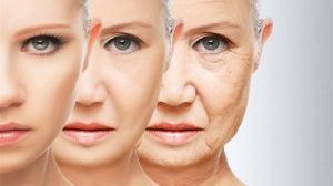 Какие продукты могут замедлить старение?