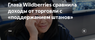Глава Wildberries сравнила доходы со средством для поддержания штанов
