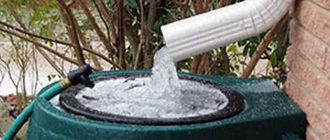Как правильно собрать дождевую воду для полива растений на даче?