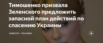 Юлия Тимошенко предложил Зеленскому план для спасения Украины
