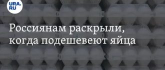 Яйца дешевеют: ФАС добилась снижения цен для россиян!