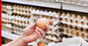 Прорыв в борьбе с ценами на яйца: власти приняли решение, меняющее правила игры!